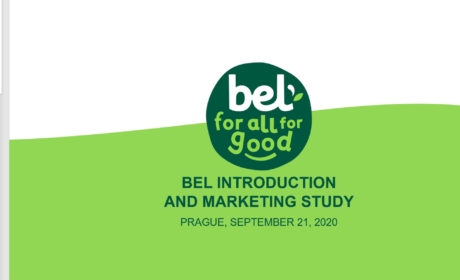 Online prezentace manažerů společnosti Bel v předmětu „Marketing stratégique et international“